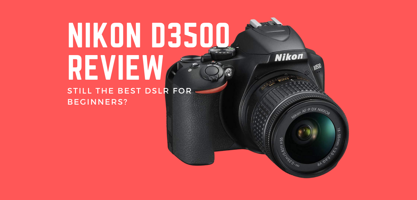 Nikon D3500 Review Still The Best DSLR For Beginners