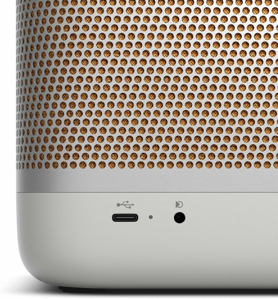 bang-olufsen-beolit-20-portable-bluetooth-speaker